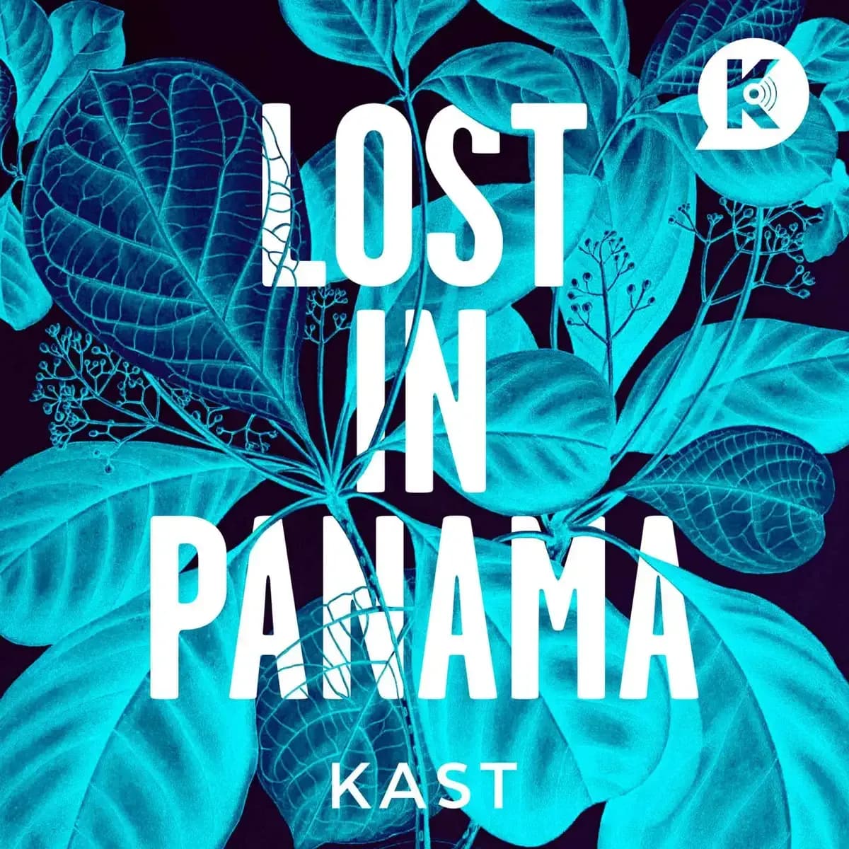 Lost in Panama: afdækker udfordrende forsvindingssag