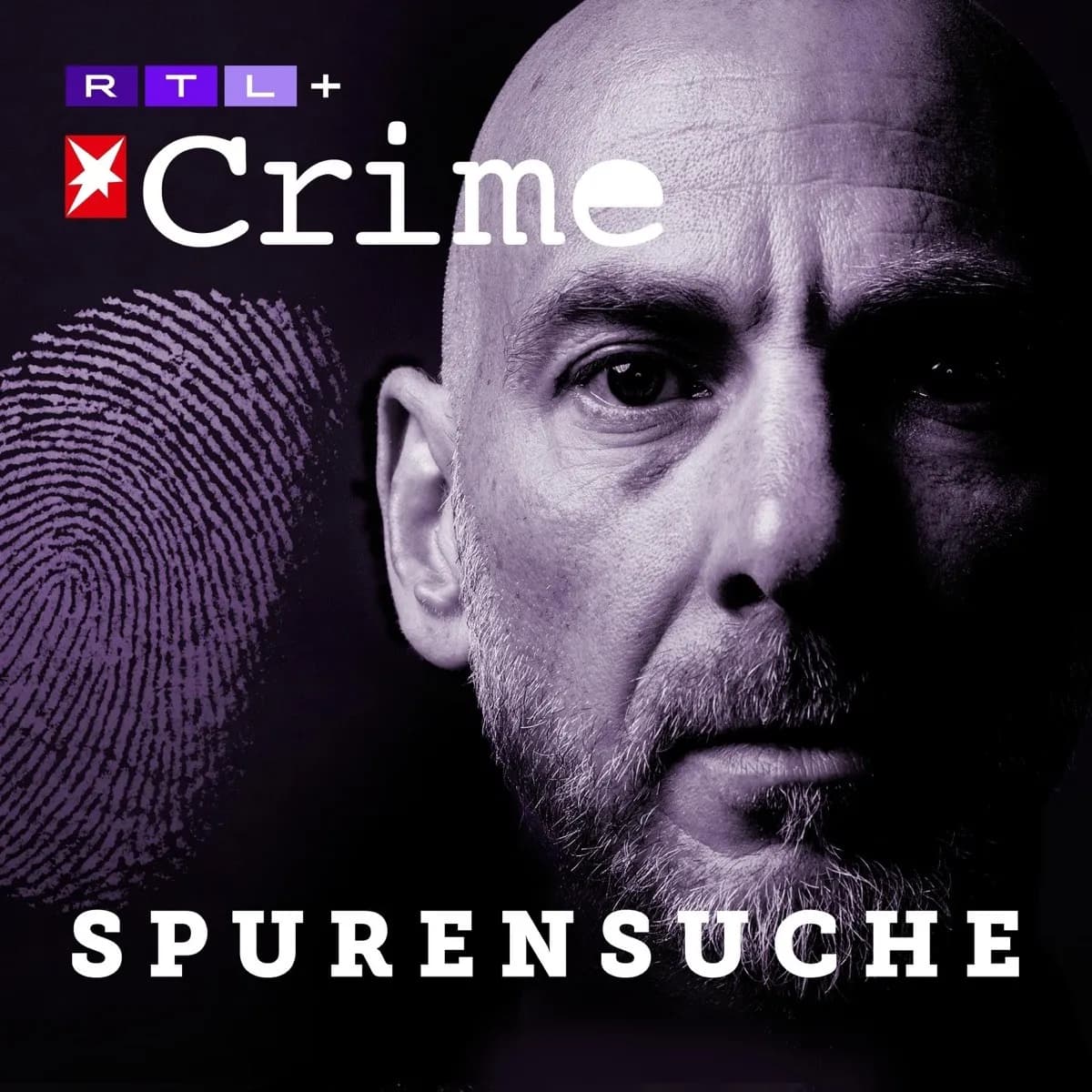 Stern Crime — Spurensuche