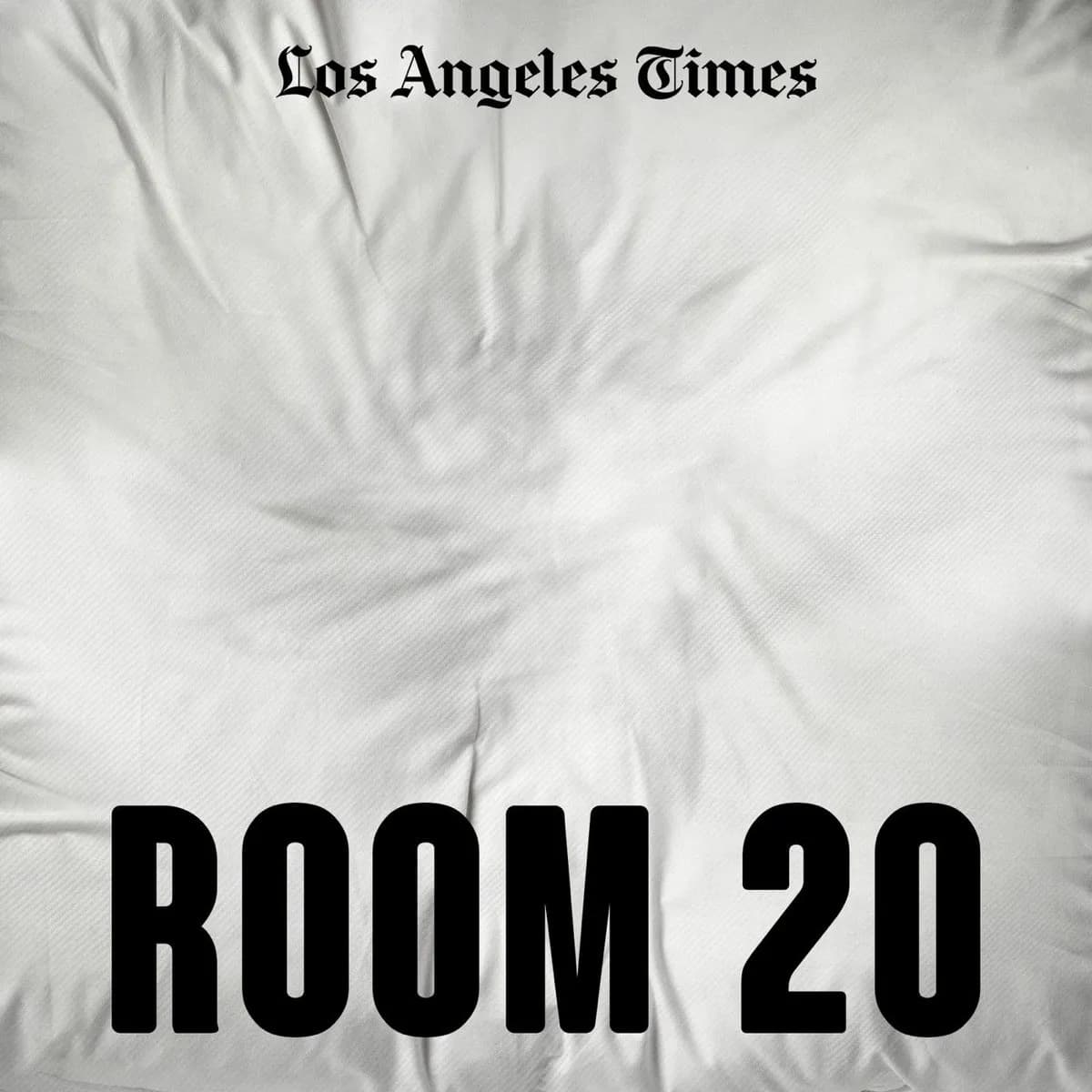 Officielt coverbillede for Room 20