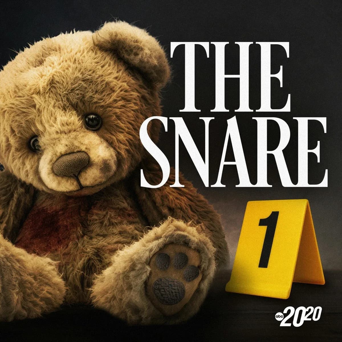 The Snare: A Mother's 30-Year Hunt for Her Daughter's Killer