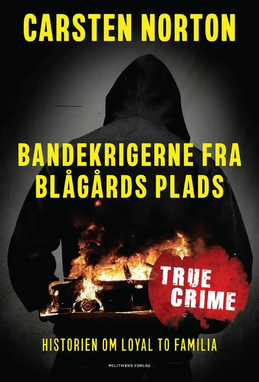 The Gang Fighters of Blågårds Plads: Unveiling LTF's Brutality